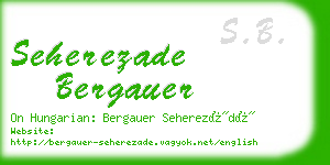 seherezade bergauer business card